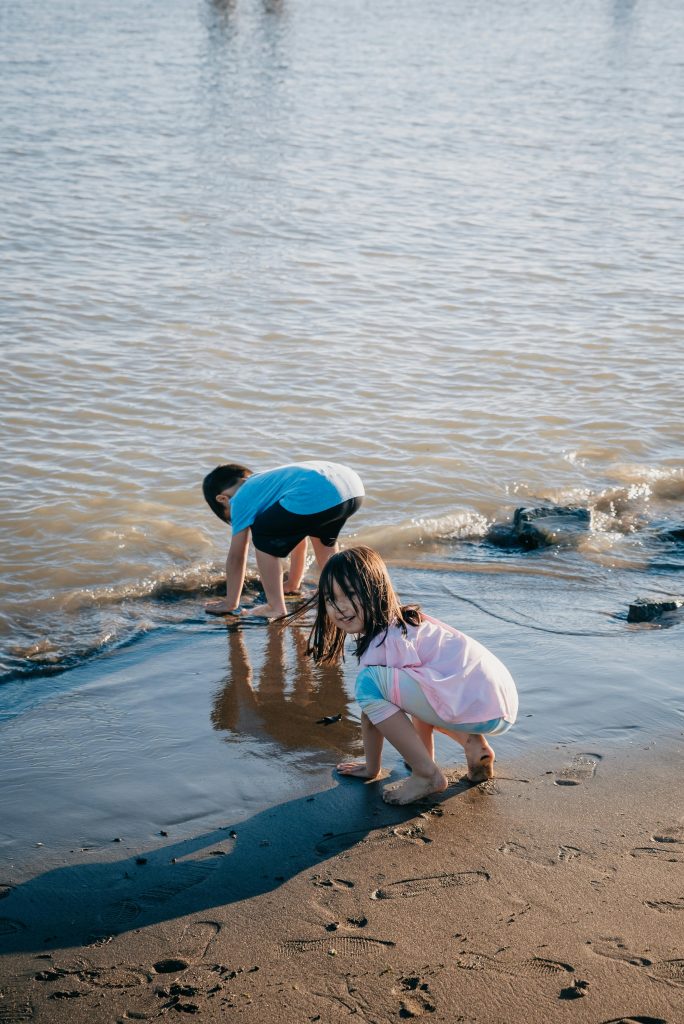 How play contributes